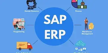 ERP & SAP
